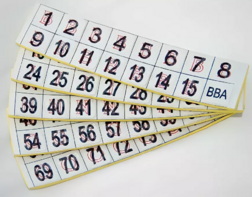 Фишки для игры «Бинго» со шрифтом Брайля - fgospostavki.ru - Салехард