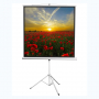 Экран на штативе DSKD-1105  - fgospostavki.ru - Салехард