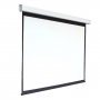 Экран настенный с электроприводом DSEF-16909 - fgospostavki.ru - Салехард