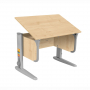 Школьная парта-трансформер с 5 лет, размер 75x50x53(до 81.5) - fgospostavki.ru - Салехард